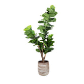 210cm Artificial Fiddle Leaf Tree Single Trunk